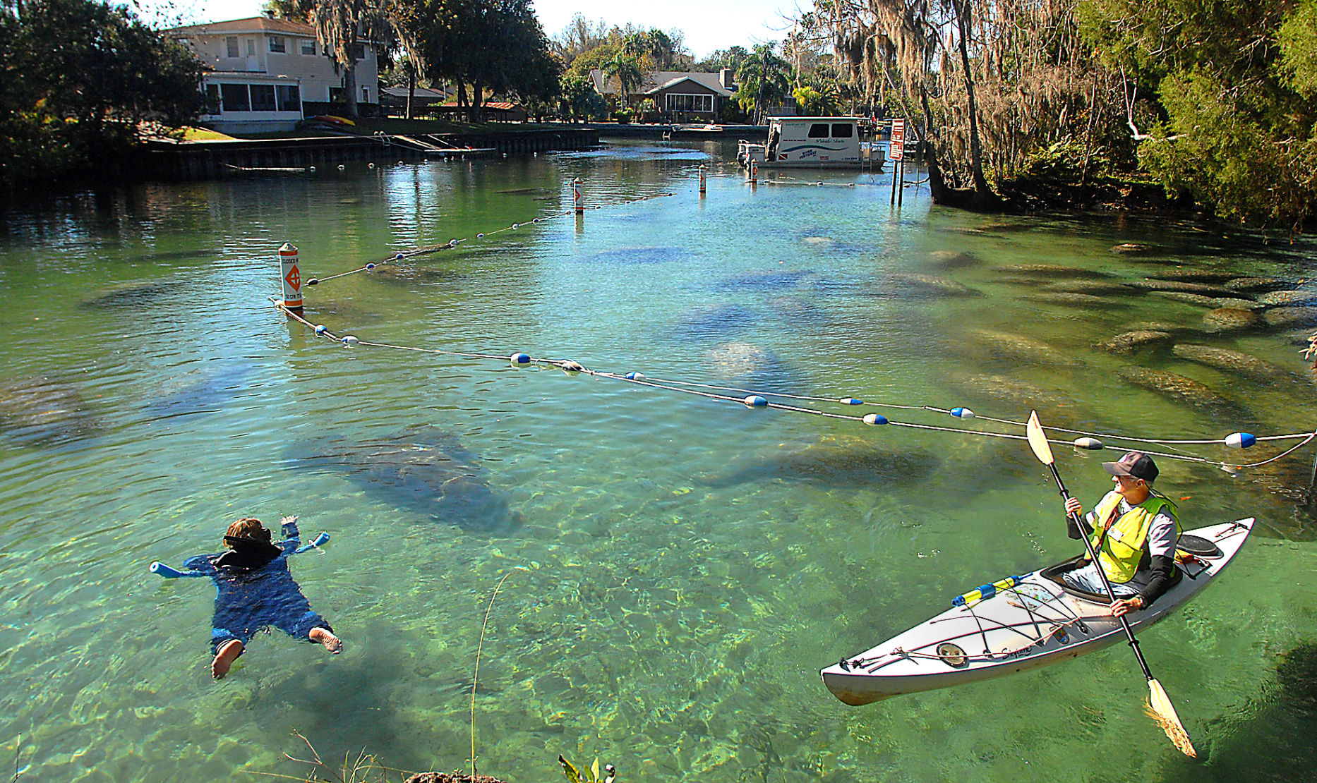 On the water: Manatee tourism ‘trending correctly’